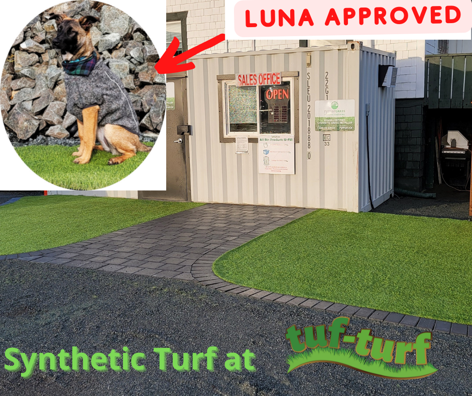 Pet Friendly artificial turf from tufturf Victoria BC