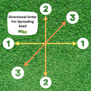 Diagram showing how to overseed your lawn