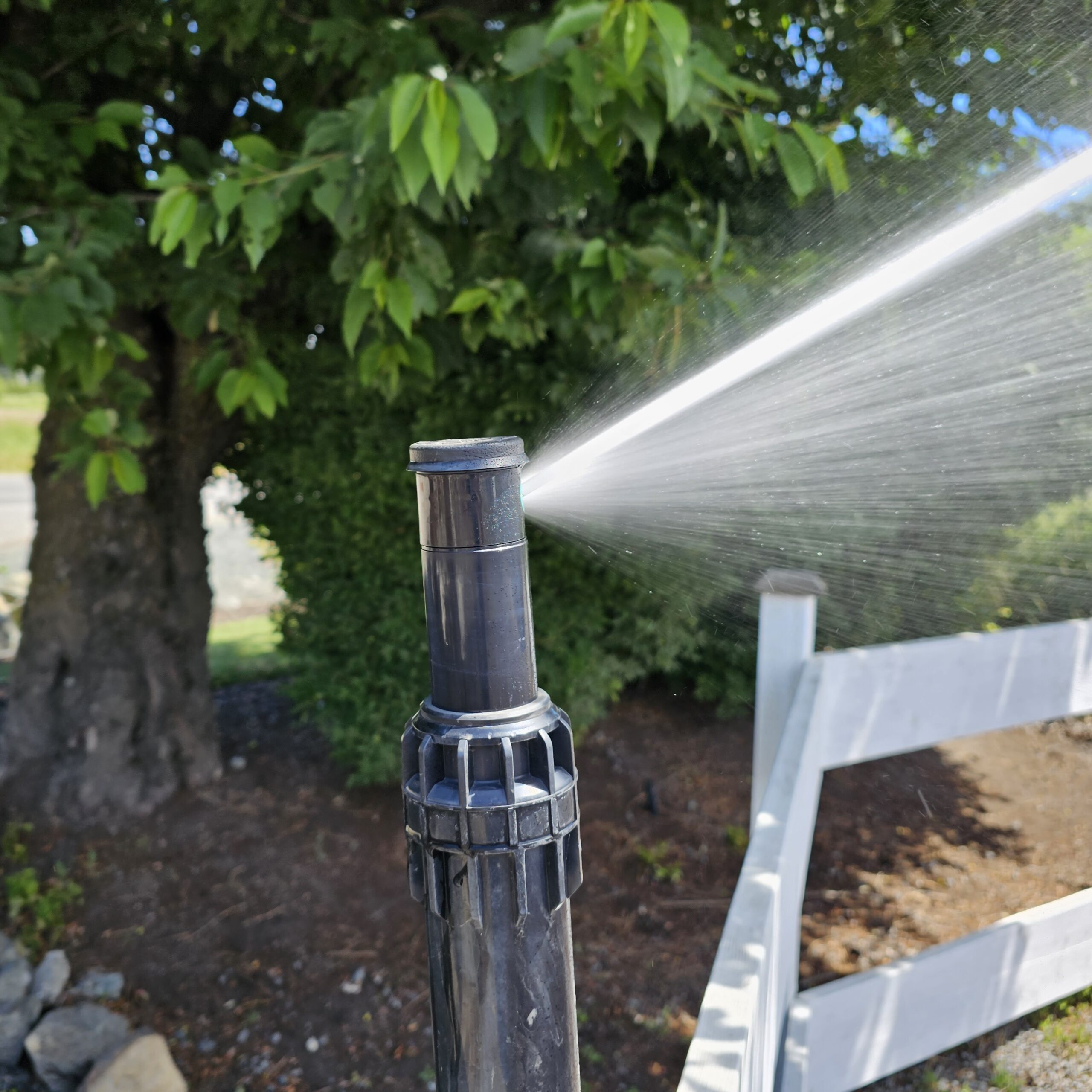 Lawn Watering for Victoria BC TufTurf