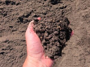 Mushroom Soil and amender from tuf-turf in Saanich BC